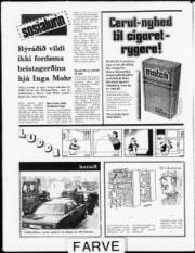 Síða 12