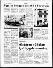 Síða 11
