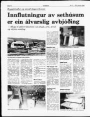 Síða 12