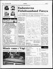 Síða 17