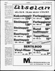 Síða 20