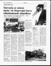 Síða 11