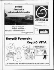 Síða 13