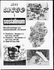 Síða 21