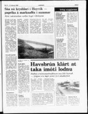Síða 5