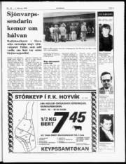 Síða 3