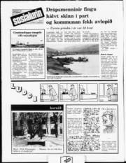 Síða 12