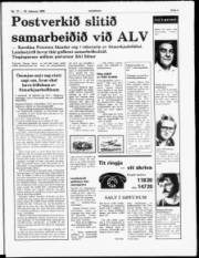 Síða 3