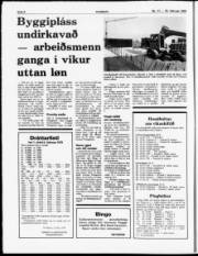 Síða 8