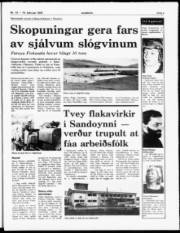 Síða 3