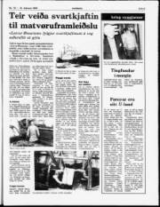 Síða 5