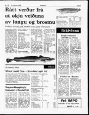 Síða 7