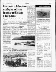 Síða 5
