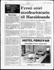 Síða 6
