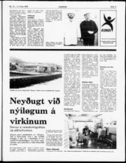 Síða 11