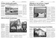 Síða 3