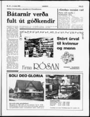 Síða 15