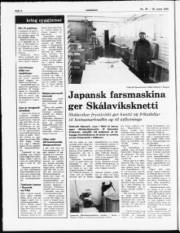Síða 4