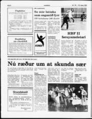 Síða 8