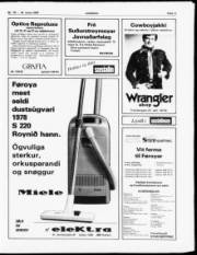 Síða 11