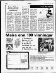 Síða 2