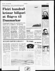 Síða 3