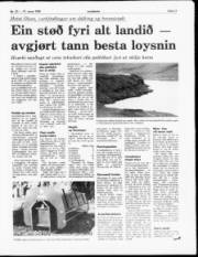 Síða 11