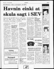 Síða 3