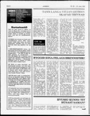 Síða 6