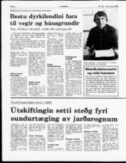 Síða 8