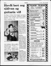 Síða 8