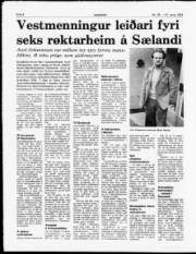Síða 8