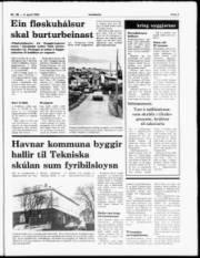 Síða 5