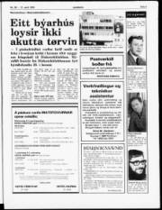 Síða 3