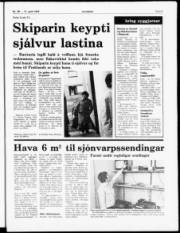 Síða 5