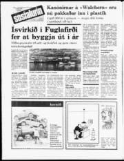 Síða 12