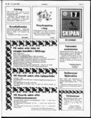 Síða 17