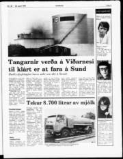 Síða 3