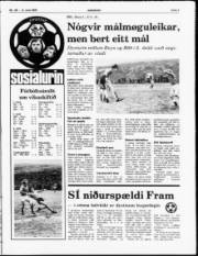 Síða 7