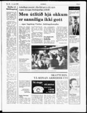 Síða 3