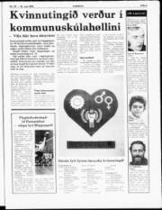 Síða 3