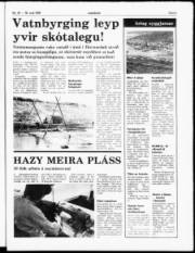 Síða 5
