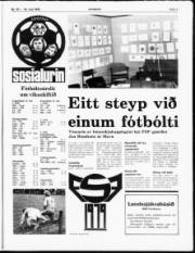 Síða 7