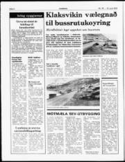 Síða 4