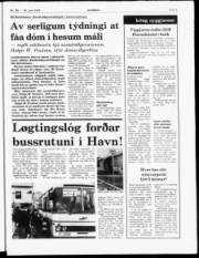 Síða 5