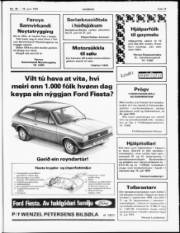 Síða 17