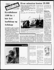 Síða 20