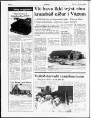 Síða 4