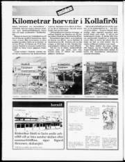 Síða 16