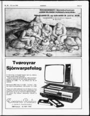Síða 17